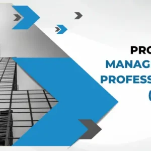 Program Management Professional (PgMP)